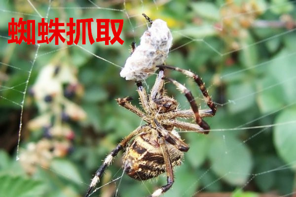 選擇電動(dòng)伸縮門有哪些技巧？使用時(shí)要注意這